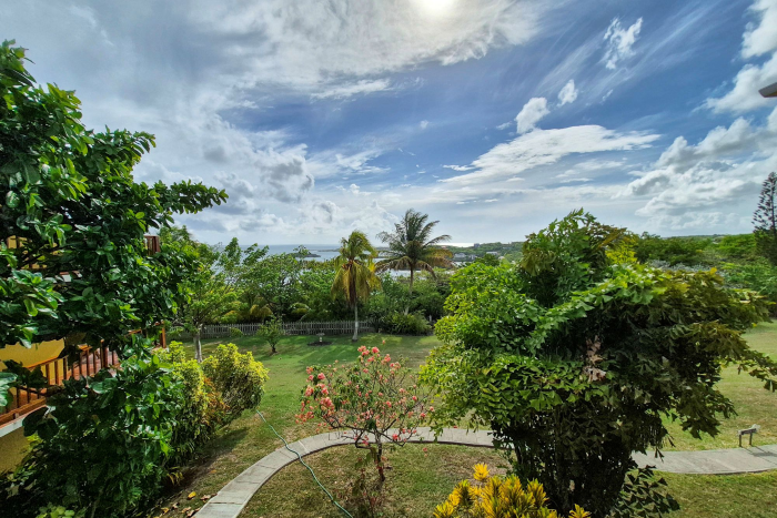 1621_0331160072-700×467